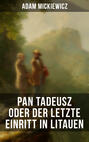 Pan Tadeusz oder Der letzte Einritt in Litauen