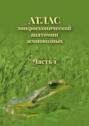 Атлас микроскопической анатомии земноводных. Часть 1